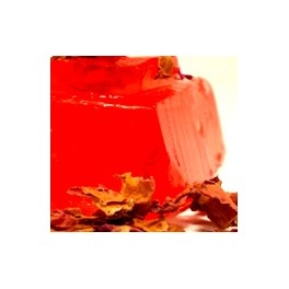 CAMELIA CAMELIA